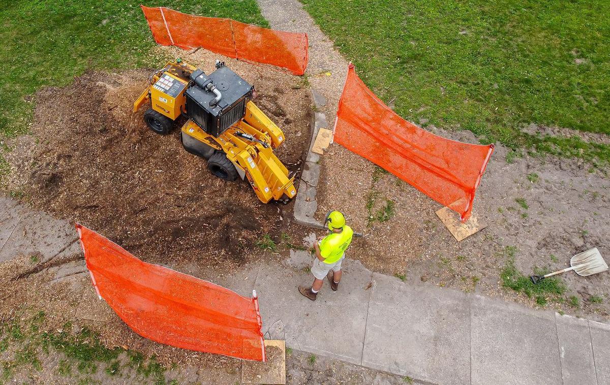 Rognage d'une souche, zone de travail balisée