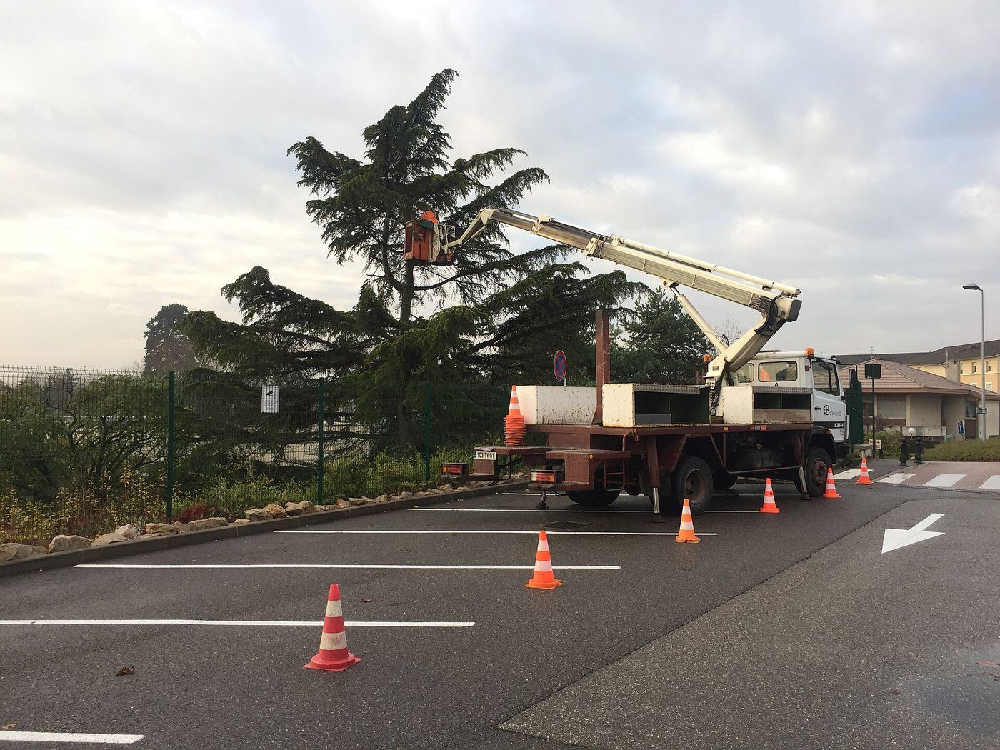 Élagage d'un arbre depuis une nacelle, chantier balisé